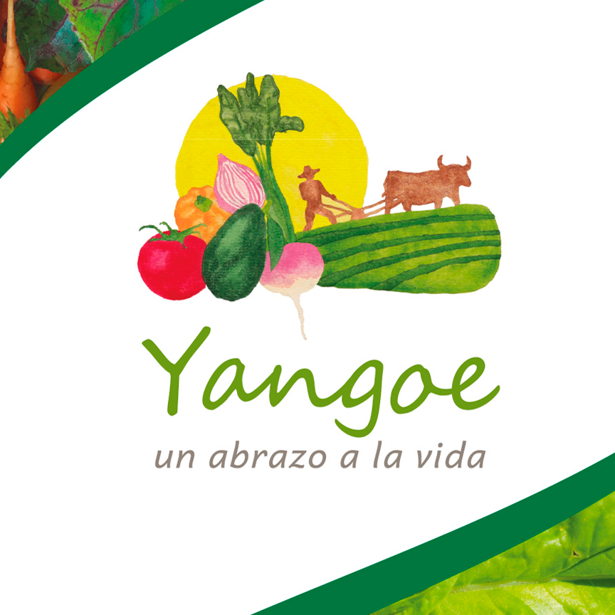 Yangoe