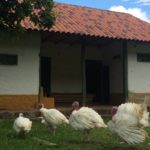 Granja El Motilon