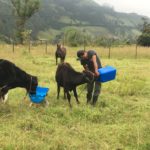 Granja El Motilon