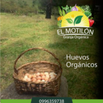 Granja El Motilon