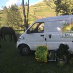 Granja El Motilon