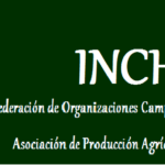 Aceite Extra Virgen de Sacha Inchi