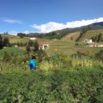 PARCELA AGROECOLOGICA EL LAUREL
