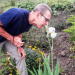 PARCELA AGROECOLOGICA EL LAUREL