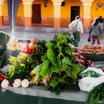 PARCELA AGROECOLOGICA EL LAUREL