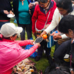 PARCELA AGROECOLOGICA EL LAUREL