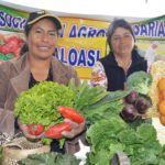 Asociación Agropecuaria Aloasi
