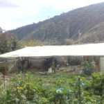 Granja ecológica Humayacu