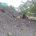 Granja ecológica Humayacu