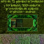 SIMIATUG LLAKTA ´PLANTANDINA´