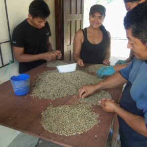 ASOPROCOFFEE