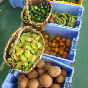 Tierra BellBaum y Agroturismo Rancho Mila
