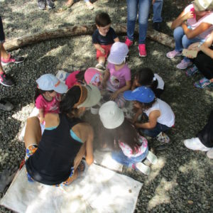 Tierra BellBaum y Agroturismo Rancho Mila