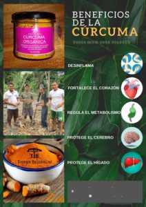 Tierra BellBaum y Agroturismo Rancho Mila