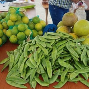 Feria campesína de la FOCAZNOM