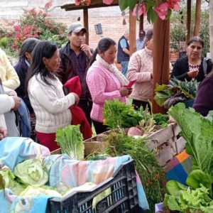 Kurikancha “Plaza de la vida”