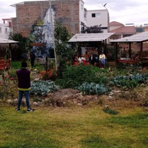 Kurikancha “Plaza de la vida”