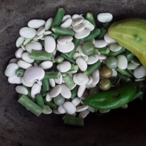 Cocosolo restaurante