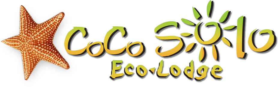 Cocosolo restaurante