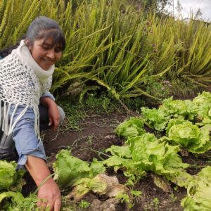 Feria de Productores Agroecológicos de Bolívar