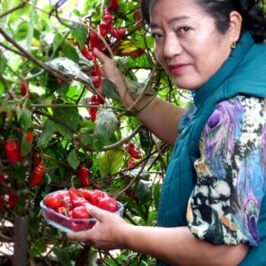 Feria de Productores Agroecológicos de Bolívar