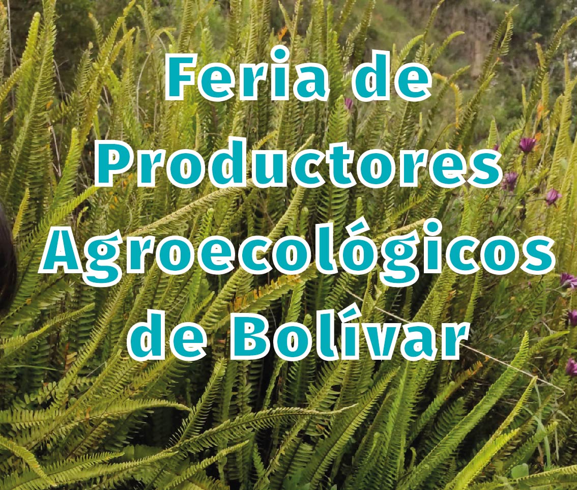Feria de Productores Agroecológicos de Bolívar