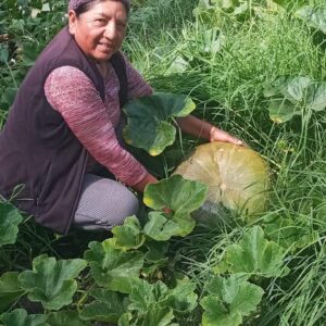 FERIA AGROECOLOGICA DE LA MATA A LA OLLA