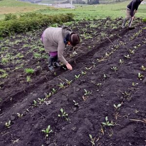 GRANJA AGROECOLOGICA LA PONDEROSA