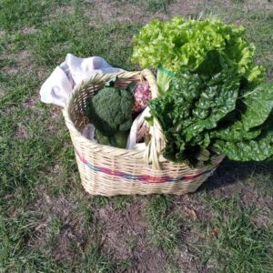 Feria Agroecologica AMPAGSU