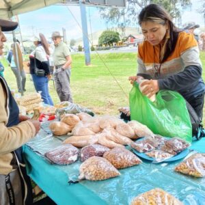 Feria Agroecologica AMPAGSU