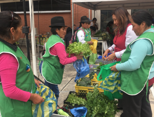 Feria agroecológica de la Universidad Andina Simón Bolívar