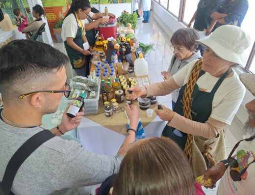 Donde comprar orgánico Donde comprar sano Busco agroecológico Busco orgánico.com